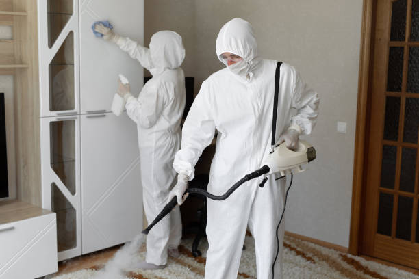 Attic Mold Removal in Clyde, NC