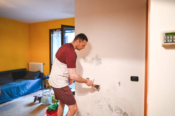 Best Mold Remediation  in Clyde, NC